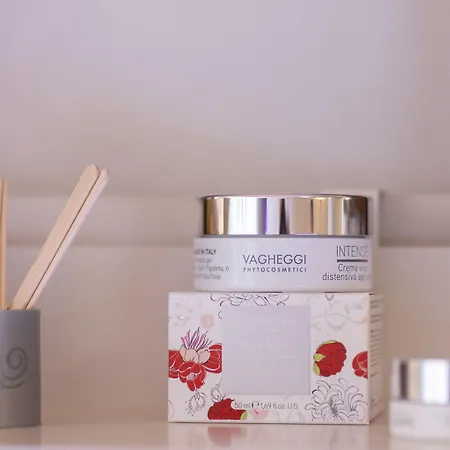 Central, & Lounge Bar 3* Crans-Montana